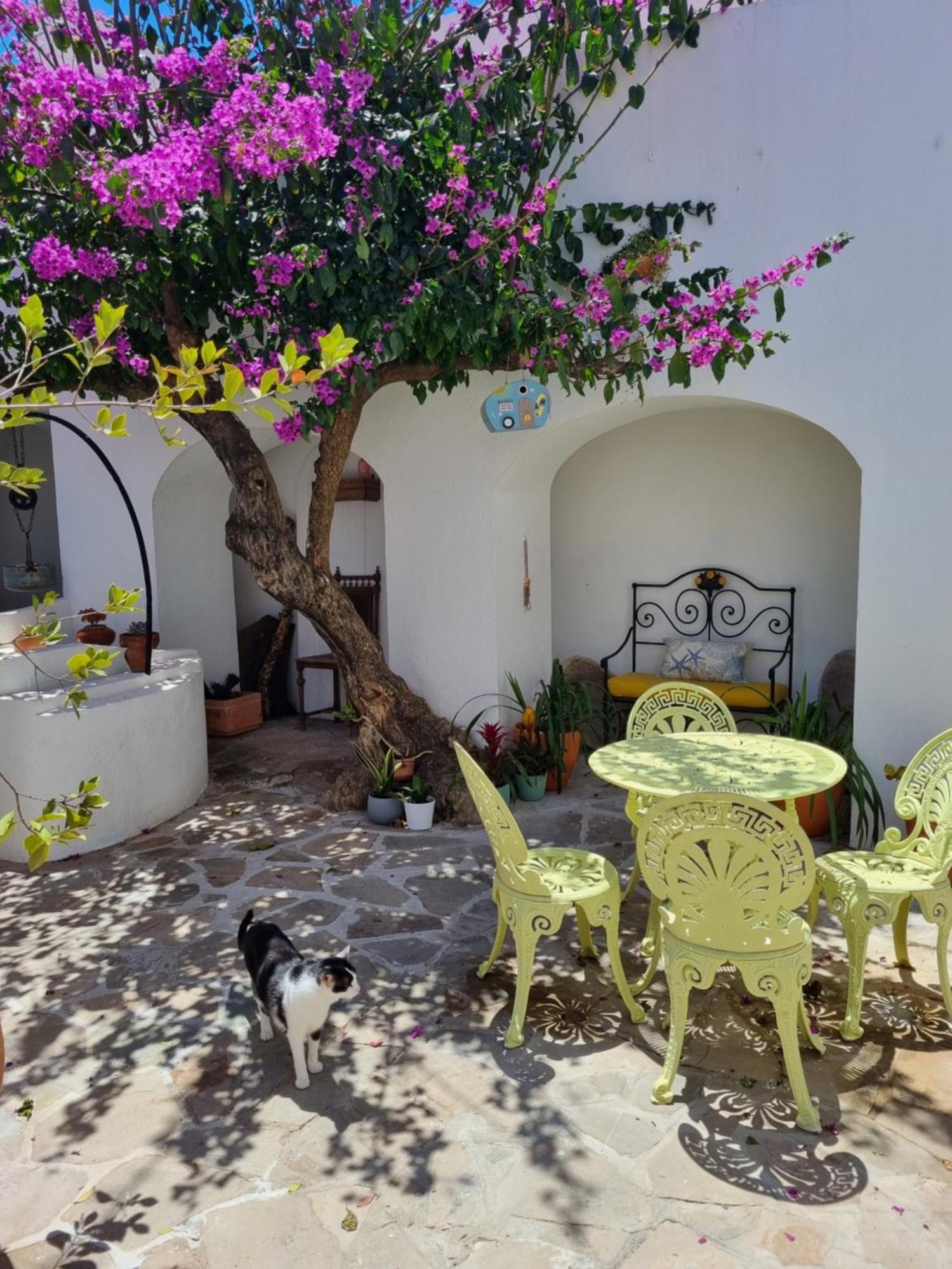 סינס Castle House And Beach מראה חיצוני תמונה